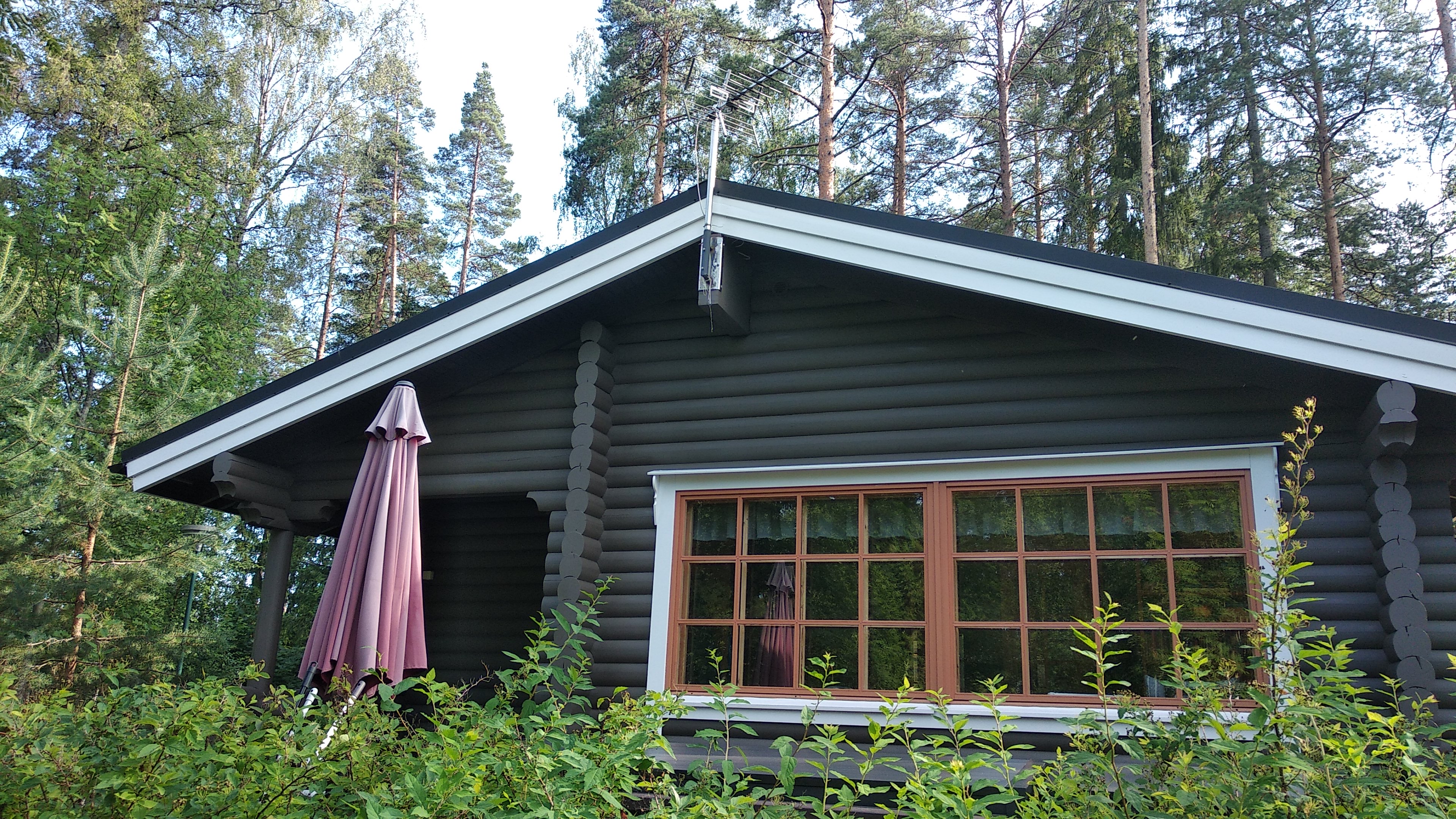 Tyhjä kuva 4